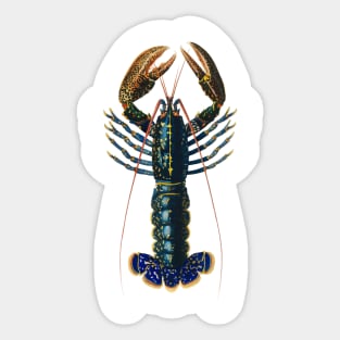 crimson crawfish Sticker